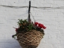 Hanging Baskets