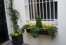 Click the image to enlarge.