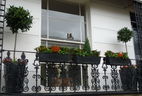 Click the image to enlarge.