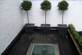 Click the image to enlarge.