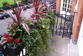 Click the image to enlarge.