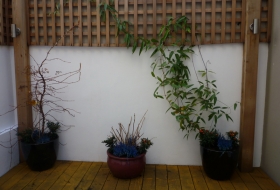 Click the image to enlarge.